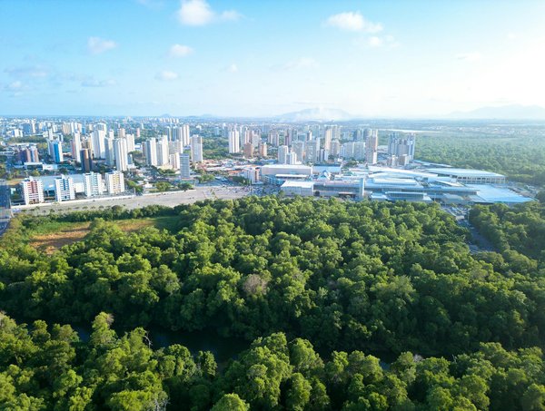 Concevoir une exposition d'art contemporain: étapes et conseils