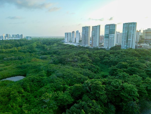 Comment notre utilisation d'Internet contribue aux émissions de CO2?